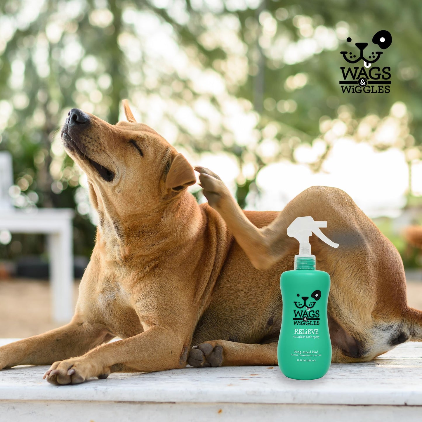 Wags & Wiggles Relieve Dog Anti-Itch Spray, Kiwi Scent - Waterless Dry Shampoo for Dogs With Dry, Itchy, Or Sensitive Skin - Fruity Scent Your Dog Will Love, 12 Fl Oz