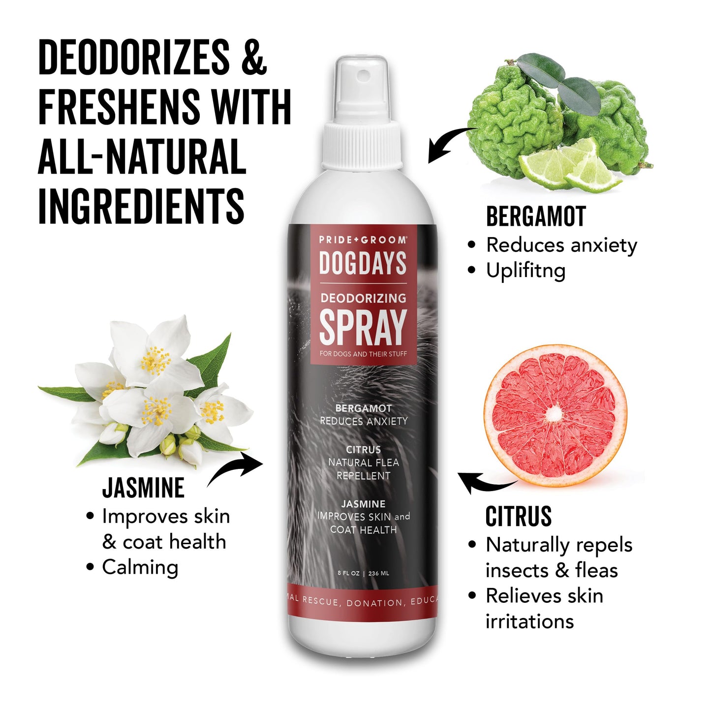 PRIDE AND GROOM DogDays Deodorizing Dog Spray | Long-Lasting Pet Odor Eliminator with Fresh & Clean Scent | Hydrating Dog Cologne & Coat Refresher – 8 fl oz