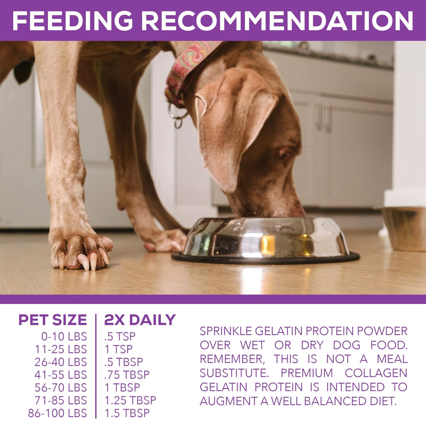 Step Above Proteins, Premium Collagen Gelatin Protein for Dogs, 1Lb 10 Oz