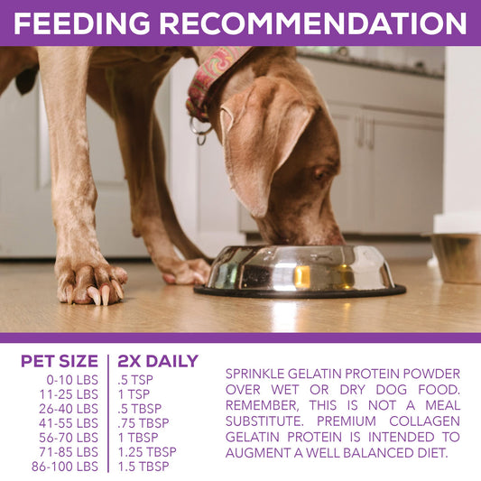Step Above Proteins, Premium Collagen Gelatin Protein for Dogs, 1Lb 10 Oz