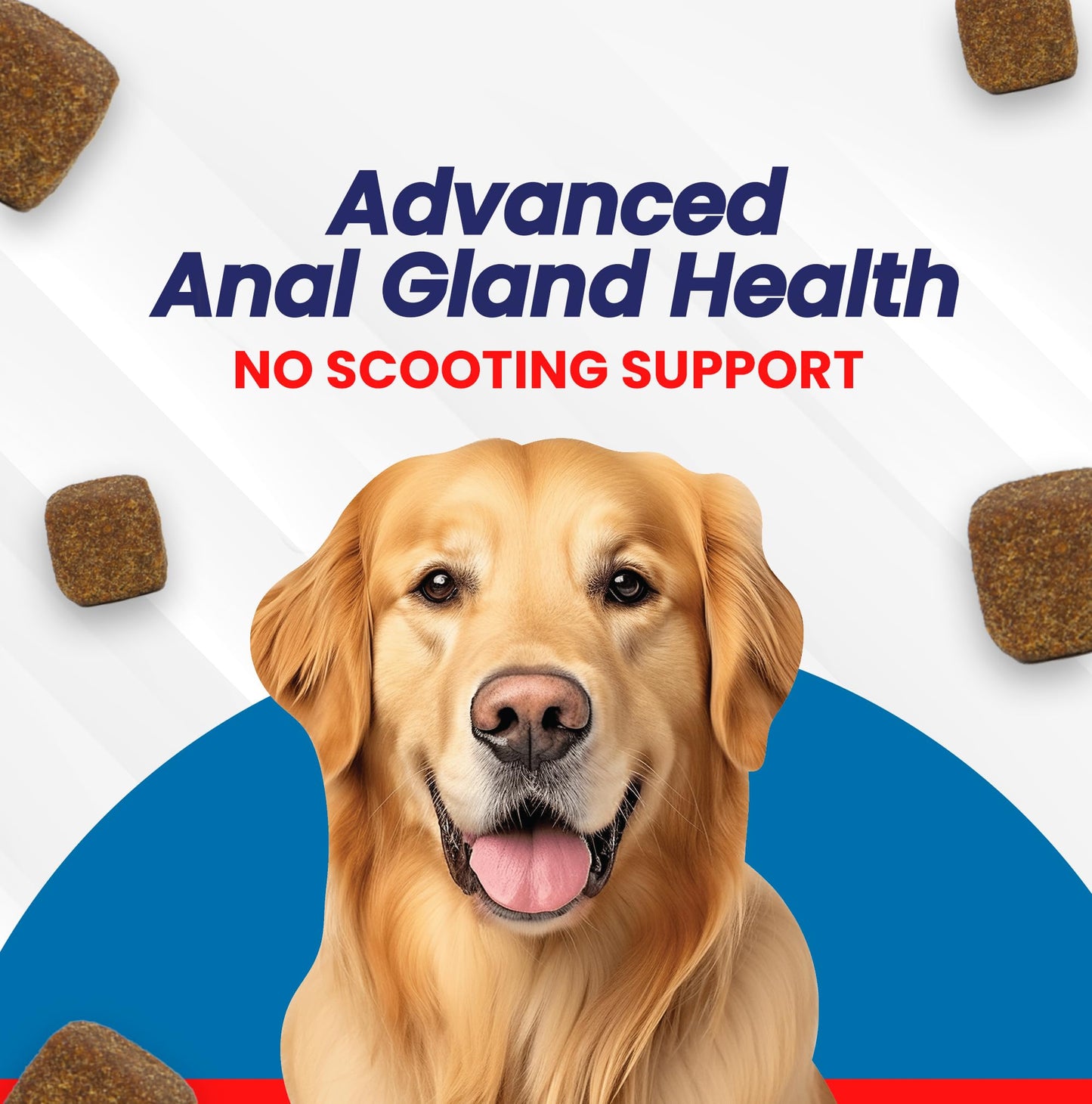 Sparktek Digestive Fiber Blend Chews for Dogs with Pumpkin Psyllum Husk Beet Pulp Developed to Support Reduction in Scooting Behavior and Help Sac Gland Function for Normal Bowel Movement