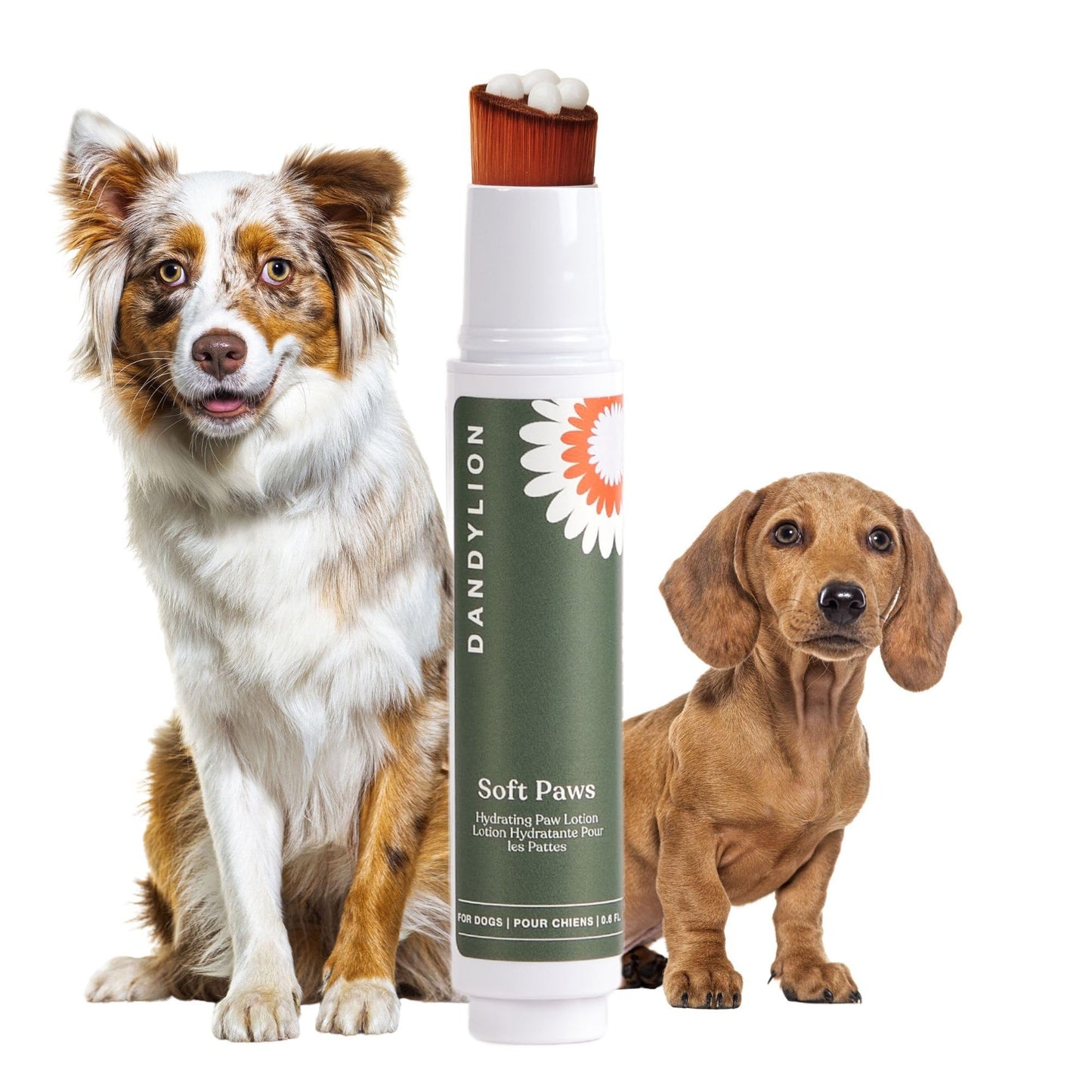 We Love Doodles Puppy Shampoo & Conditioner and Small Slicker Brush | Oatmeal Bathing | Sensitive & Itchy Skin Wash | Brush for Grooming Pet Hair | Removes Tangles & Matts | Organic - Made in USA
