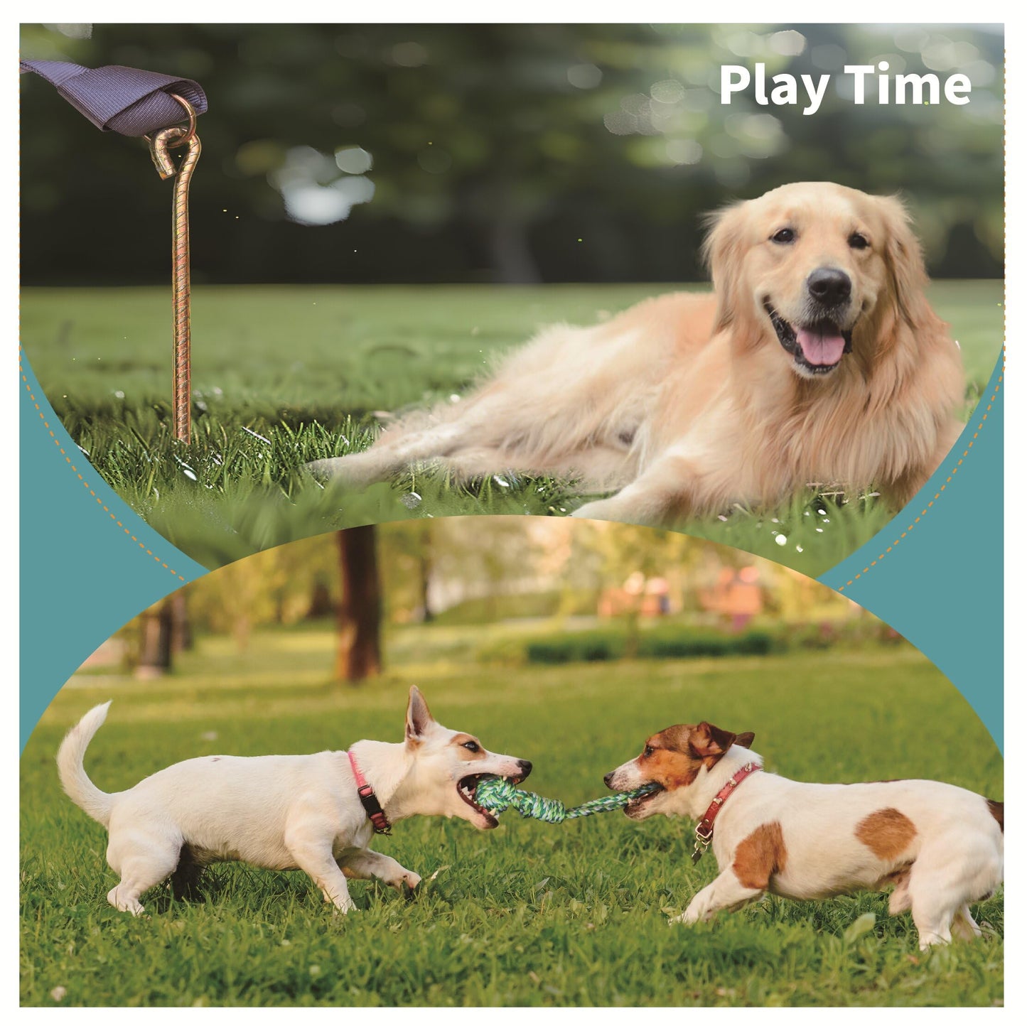 TUFEZIAN Interactive Dog Toys Rope Tug of War Dog Toy for Small Medium Large Dogs,Dog Stakes for Outside,Indoor Tug War Rope Dog Toy,Dog Bungee Tug Toy with 3 Chew Rope, green black