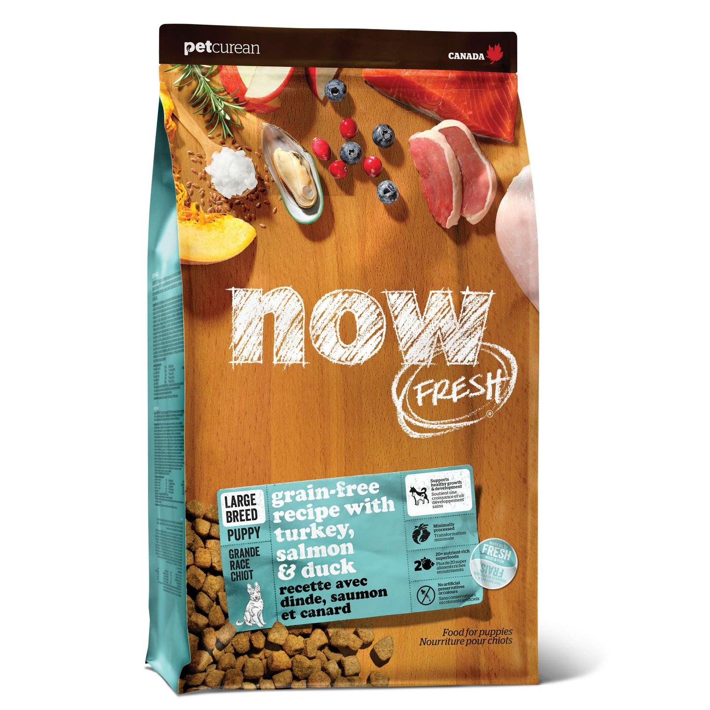 Now Fresh Grain-Free Large Breed Dry Puppy Food with Turkey, Salmon & Duck, Healthy Kibble for Growing Dogs with Real Meat & Fish, Chicken-Free, Pumpkin & Probiotics for Good Digestion, 25 lb Bag