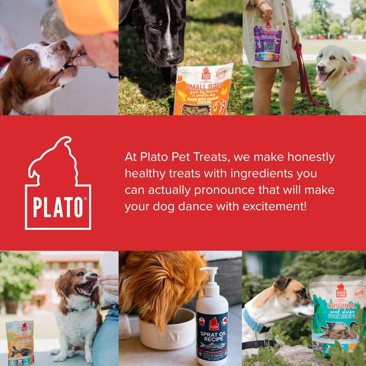 PLATO Pet Treats Real Strips - Air-Dried Meat Bars for Dogs - Delicious, Limited Ingredient Dog Treats - Grain Free - Original Real Strips Lamb 6oz