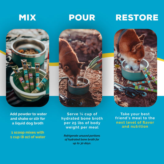 Brutus Bone Broth for Dogs - Bone Broth Powder with Chondroitin Glucosamine & Turmeric - Human Grade Food Toppers for Dry Food & Picky Eaters - 5 Stick (Beef)