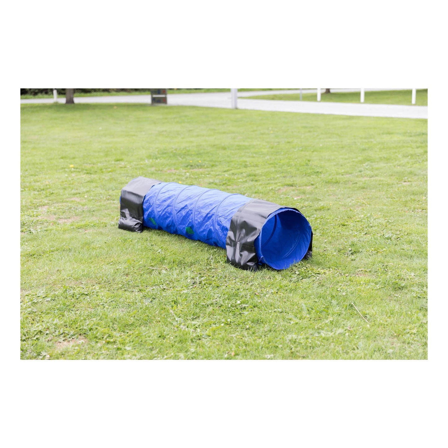 TRIXIE Dog Agility Tunnel– Dog Tunnel for Large Dogs Agility Training, Portable Dog Tunnel 196.9 in Long & 23.6 in Diameter, Dog Agility Equipment for Beginners & Advanced