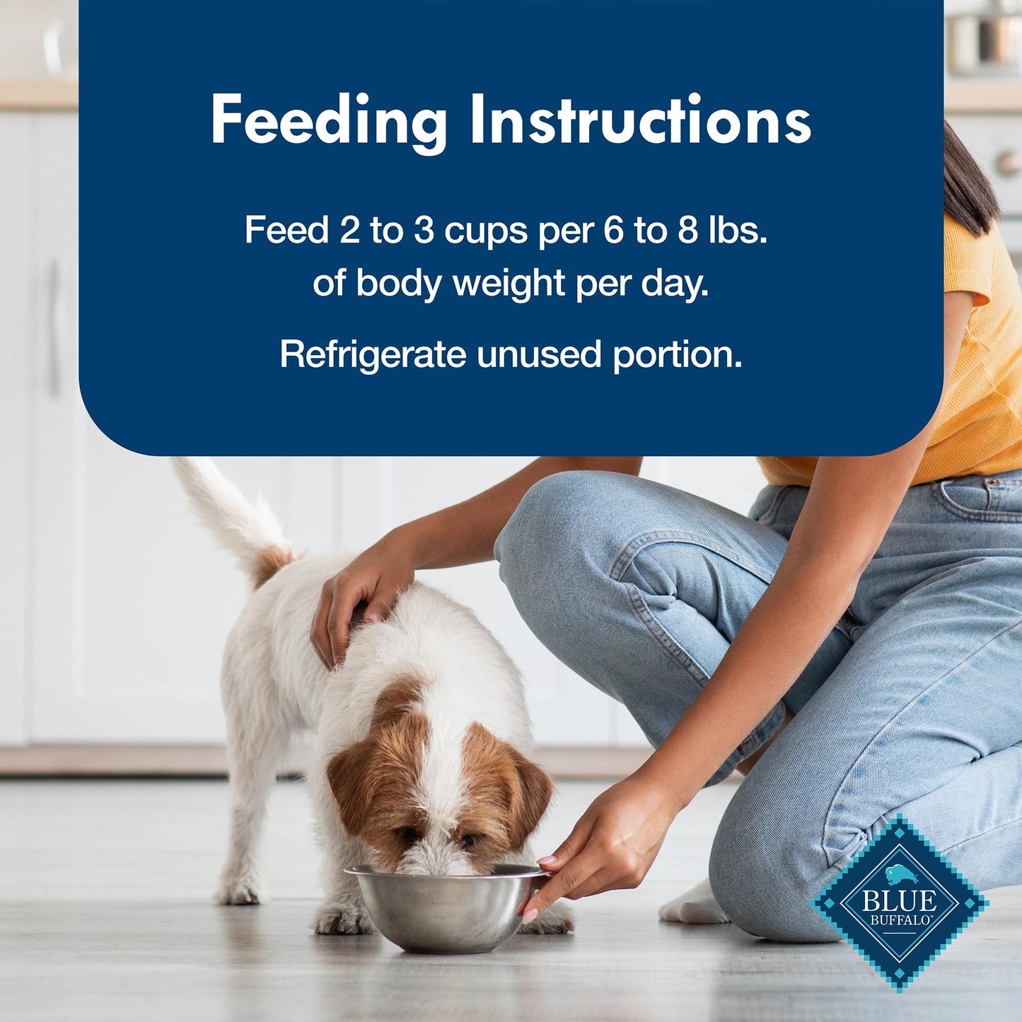 Blue Buffalo Delights Natural Adult Small Breed Wet Dog Food Variety Pack, Made with Natural Ingredients, Filet Mignon Flavor Paté & Porterhouse Flavor Paté, 3.5-oz. Cups (12 Count, 6 of Each)