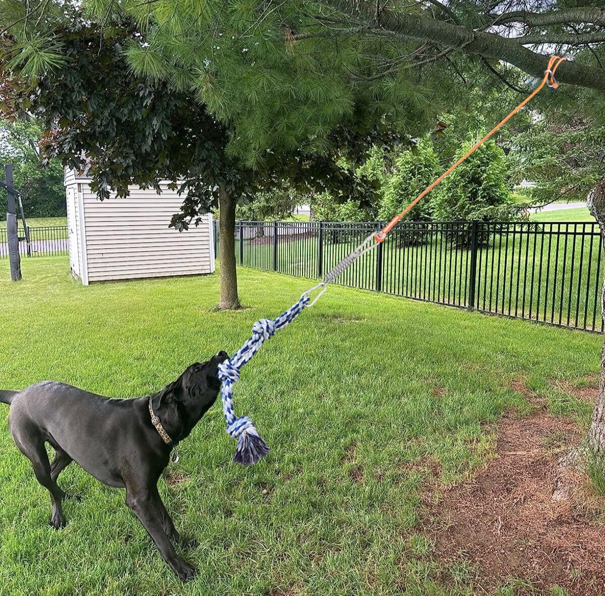 TUAHOO Outdoor Bungee Tug Toy, Dog Toy Hanging from Tree Tugger, Interactive Toy & Spring Pole Tether Tug of War Toys for Pitbull Small to Large Dogs to Exercise Solo Play, 2 Pack Dog Rope Toys