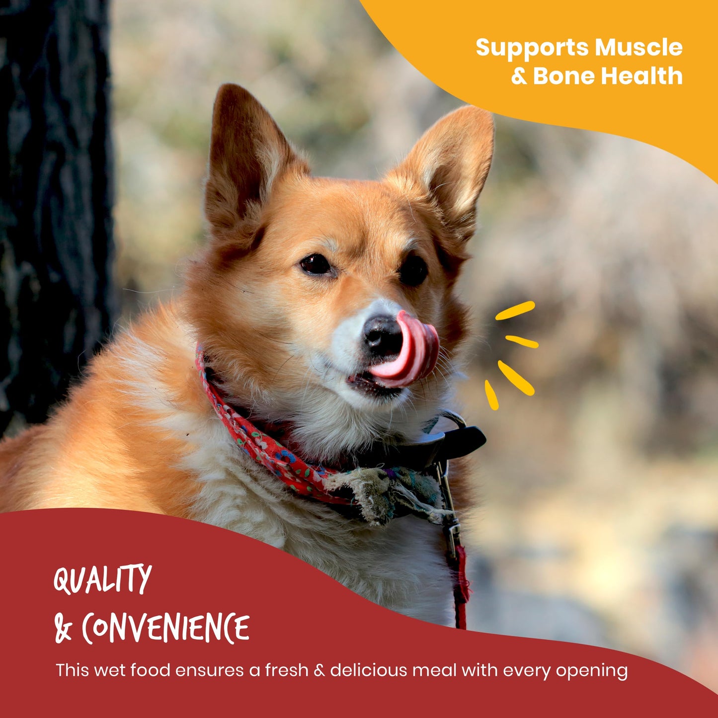 Beefeaters Dog Treats - Chicken with Rice Pate 13.2oz, Case of 12 | Complete Adult Dog Food, Balanced Nutrition, Supports Muscle & Dental Health | Training Treats for Adult Dogs