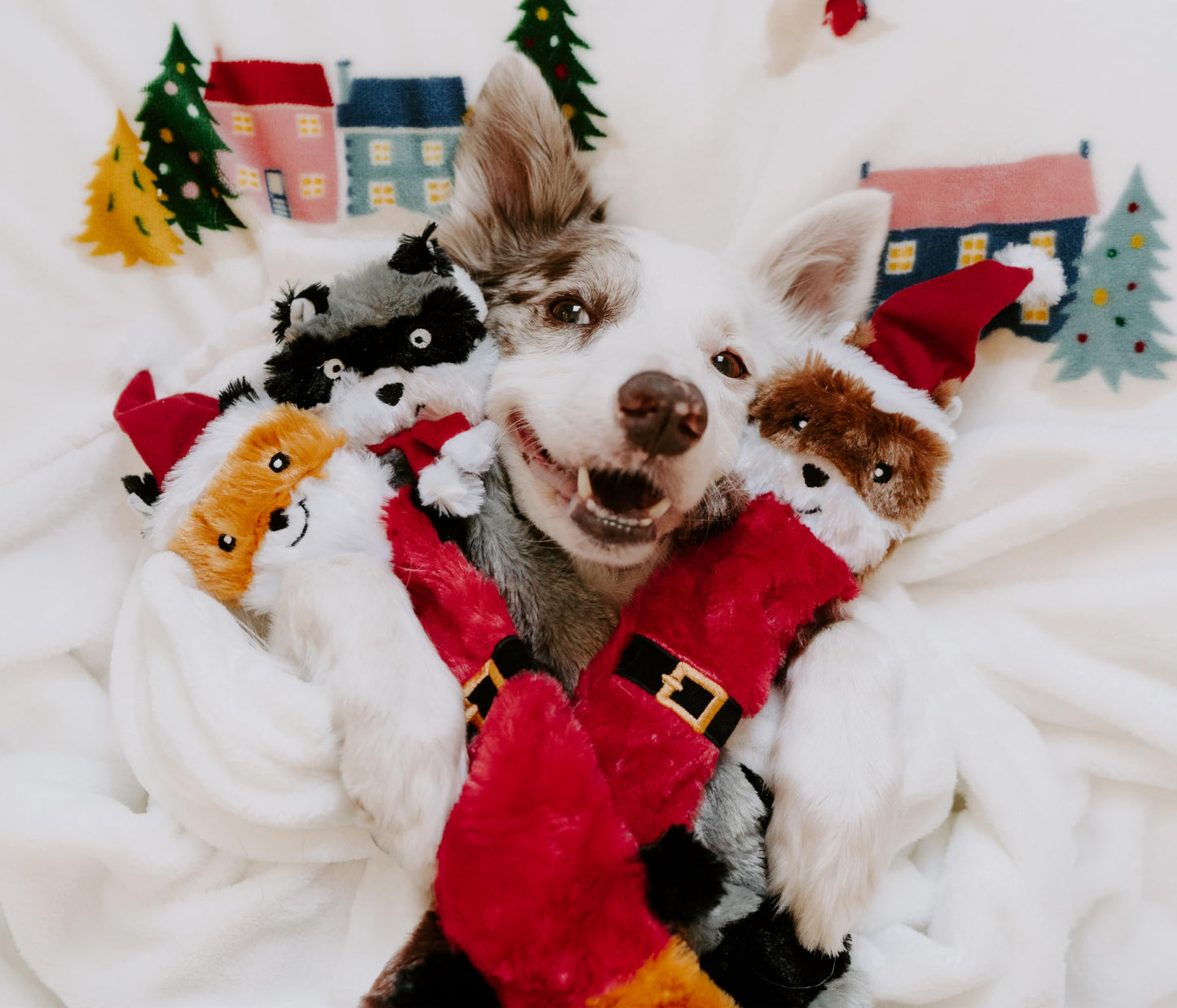 FURRY LOVE Flippy Flopper Dog Frisbee – Durable Dog Toy for Outdoor Fetch – Floating Frisbee for Dogs with Soft Rubber Edges – Comfortable on Teeth and Gums – Suitable for Water and Backyard Play