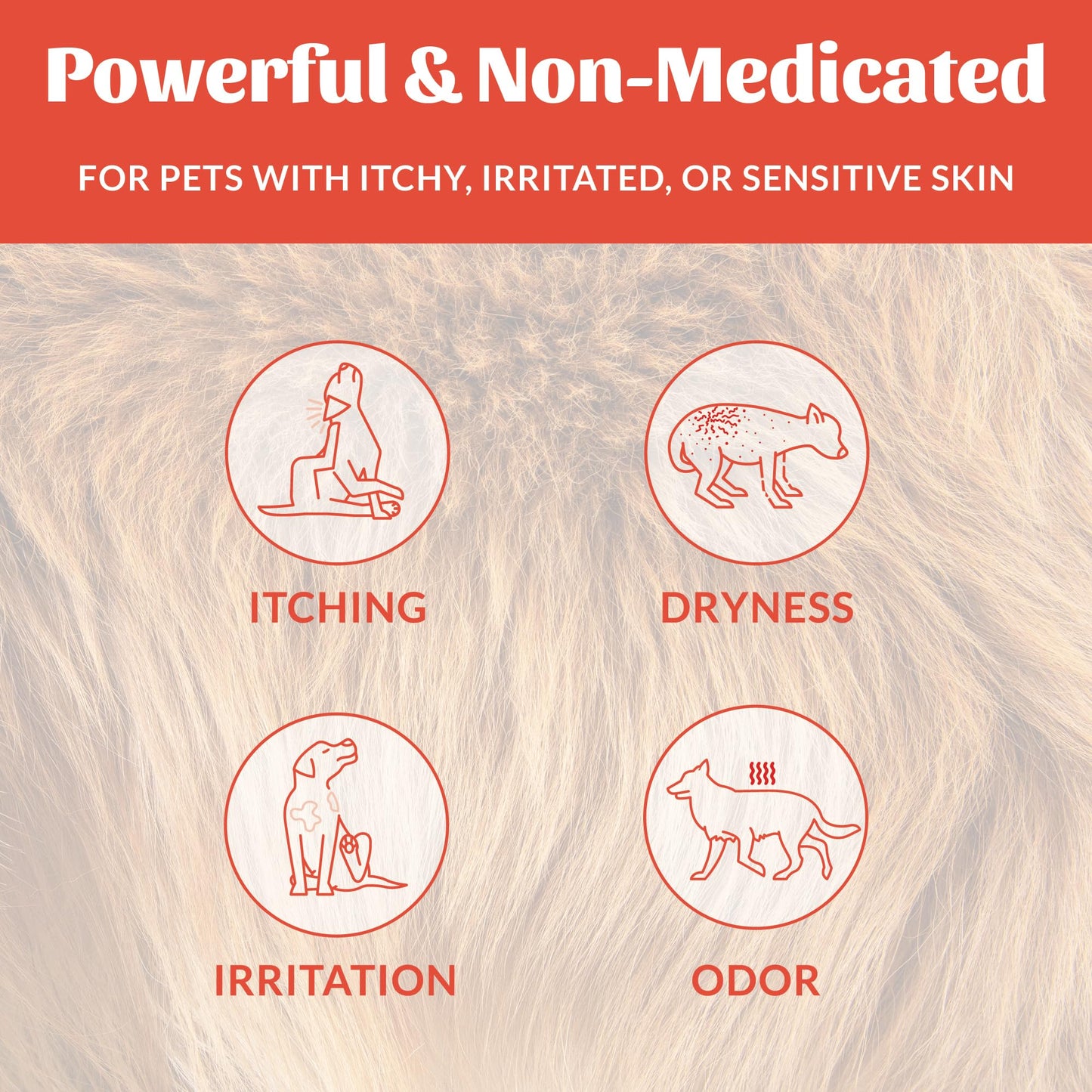 SKOUT'S HONOR Probiotic Itch Relief Spray for Pets - Non-Medicated, Fragrance-Free, Natural, Vegan, Long-Lasting Relief, with Soothing Aloe & Avocado Oil, 8 oz