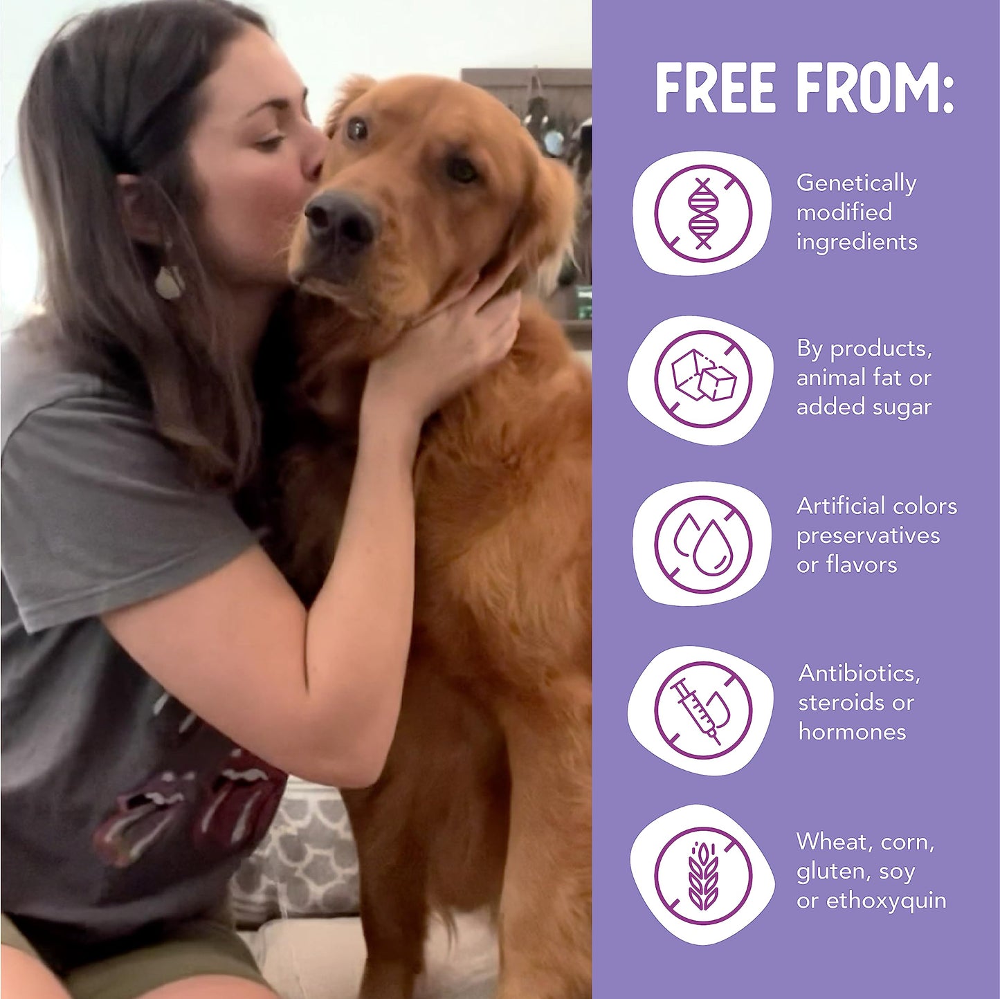 Health Extension Duck Entrée Wet Dog Food Grain-Free, 12.5 oz - Protein-Rich Recipe, Hydration Support, Ideal for Sensitive Stomachs (Case of 12 Cans)