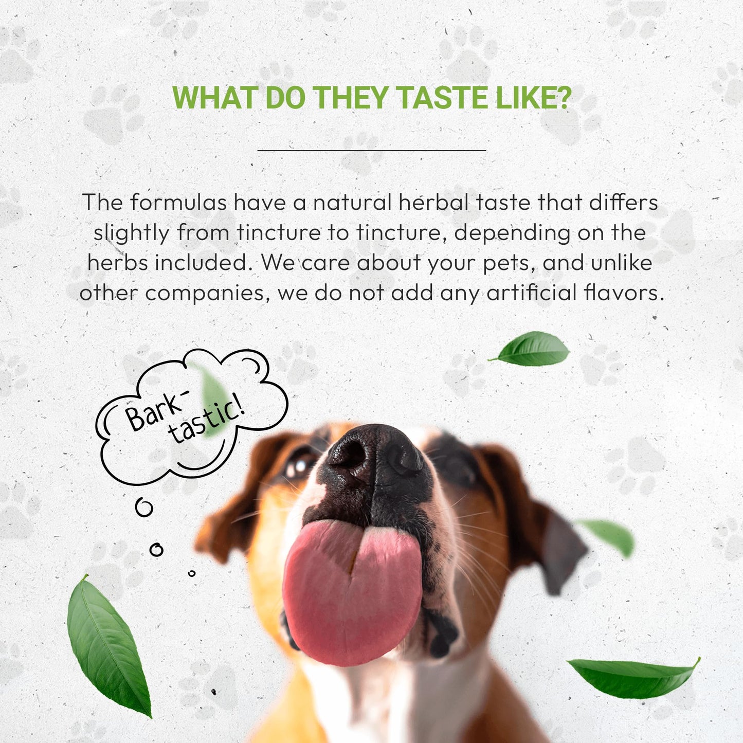 Wolf's Immune Boost | Natural Herbal Dietary Supplement for Dogs | Immune Support in Dogs | Alcohol-Free Extract, Elder Flowers, Calendula, Dandelion Root, Lemon Balm, Fennel 2 oz