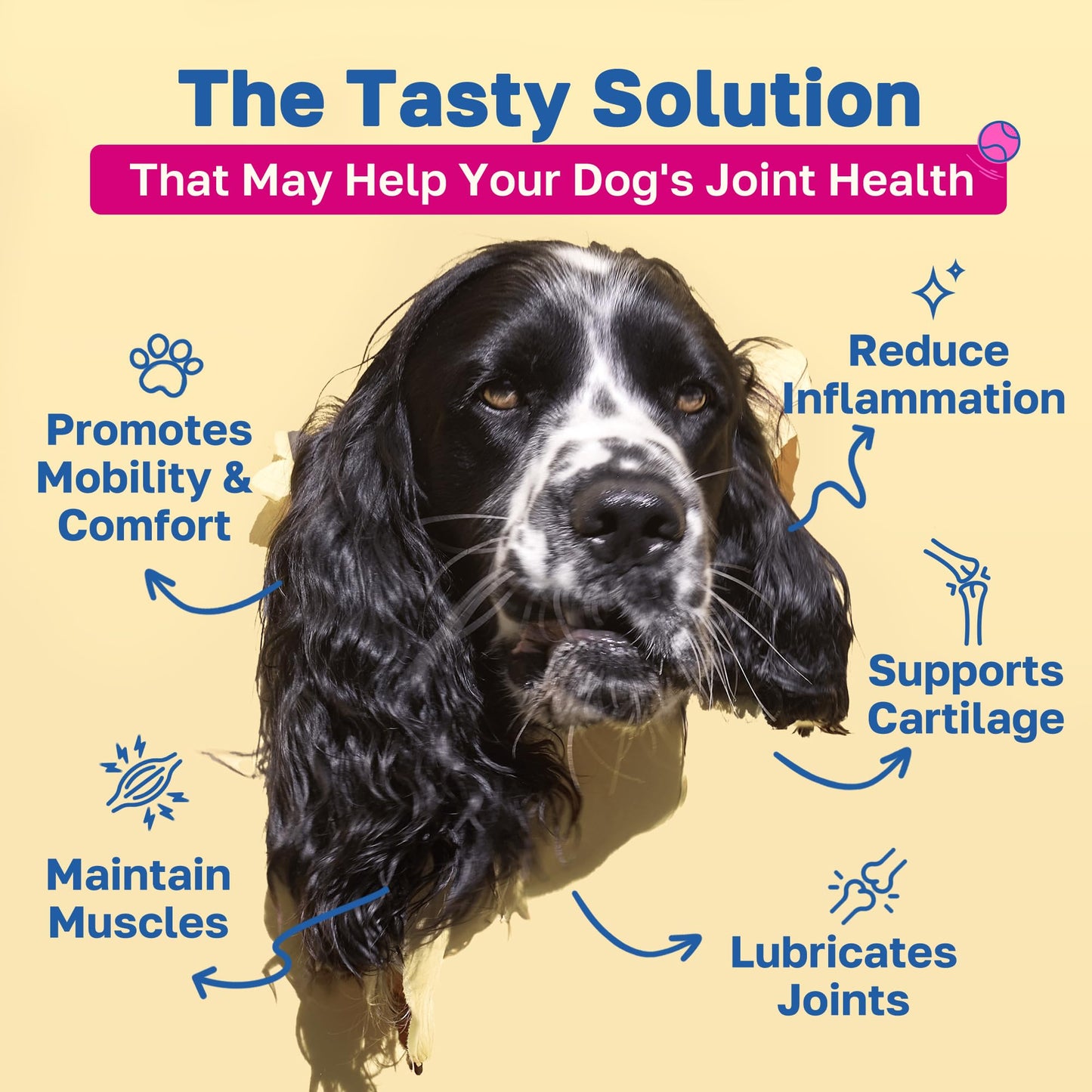 Happy Paws Natural Hip & Joint Supplement for Dogs, 100 Soft Chews, Supports Healthy Joints, Made with MSM, Glucosamine & Chondroitin, for All Breeds & Sizes, Chewable Bacon-Flavored Treats