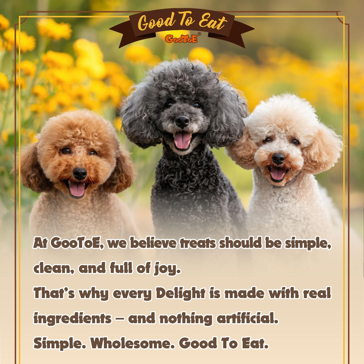 Gootoe Turkey Tendon Dog Treats, Bone (L) 3.53 oz, USA-Sourced Turkey Tendon, Natural Snack, Premium Puppy Chews, Hypoallergenic, Reseal Value Bags, Size for Large Dogs