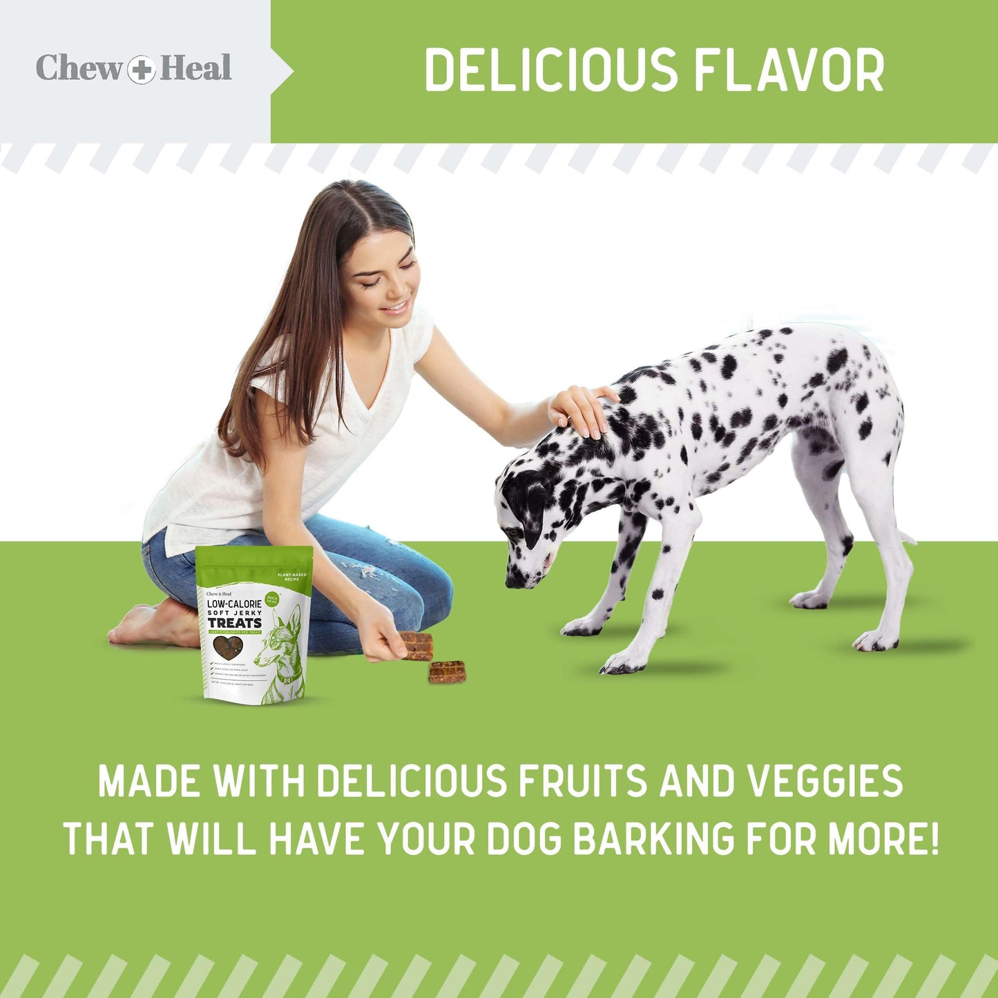 Chew + Heal Labs Low Calorie Dog Jerky Treats - 12 oz of Vegan Plant Based Natural Dog Treats with Chia Seeds, Fruits, and Vegetables - Good for Weight Management - Made in The USA