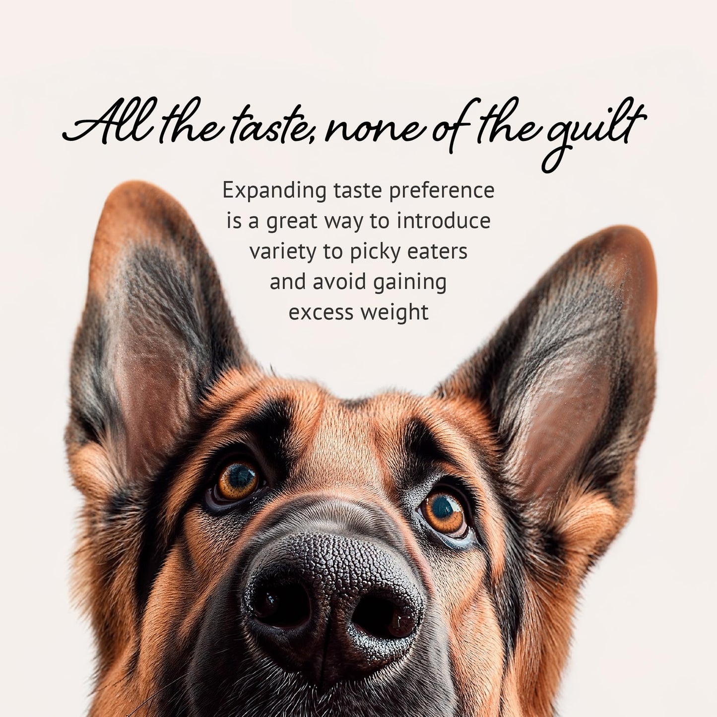 ROYAL RATIONS Freeze Dried Raw Dog Food, 100% Donkey Meat, Allergy Relief, Monoprotein, Training Treats or Toppings, Single Ingredient, All Natural, for Puppies, Adults and Seniors, 3.17 oz Bag