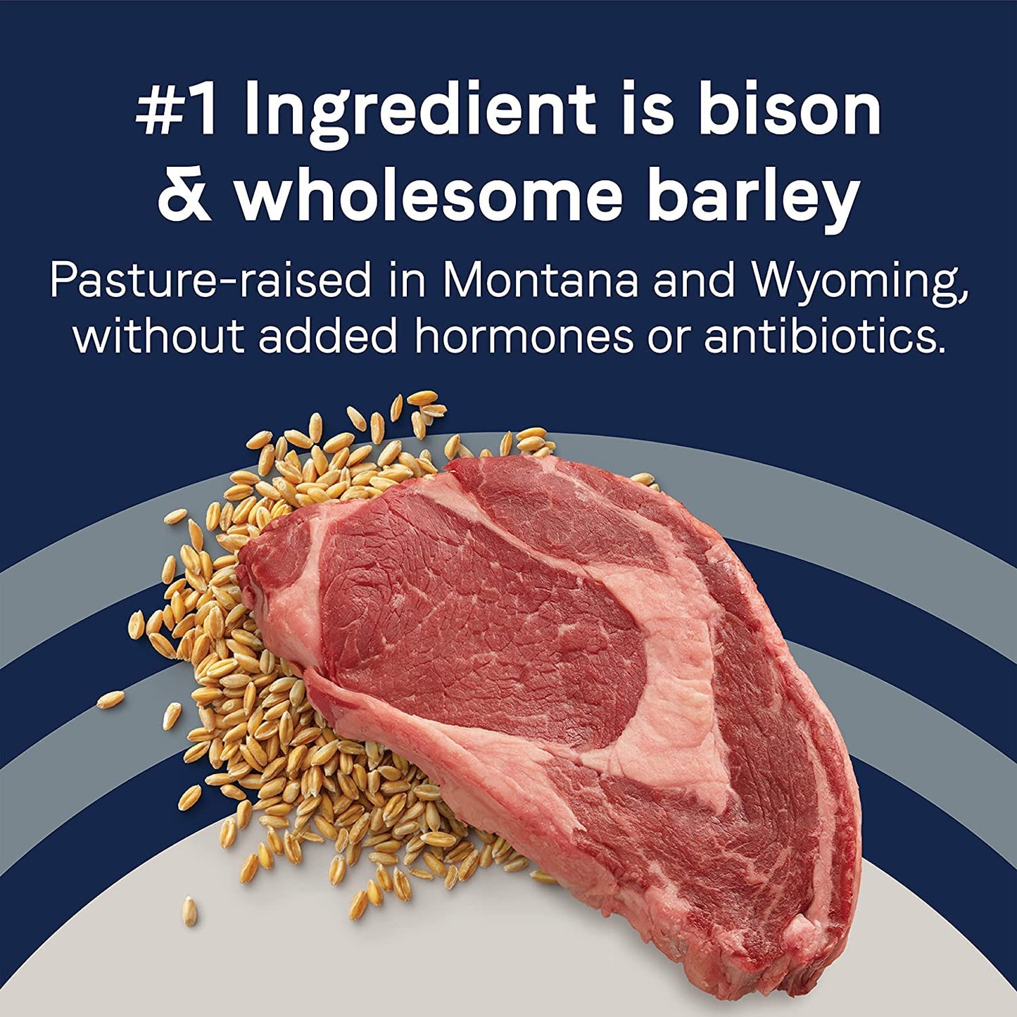 CANIDAE Pure Limited Ingredient Premium Adult Dry Dog Food, Real Bison & Barley Recipe, 4 lbs, with Wholesome Grains