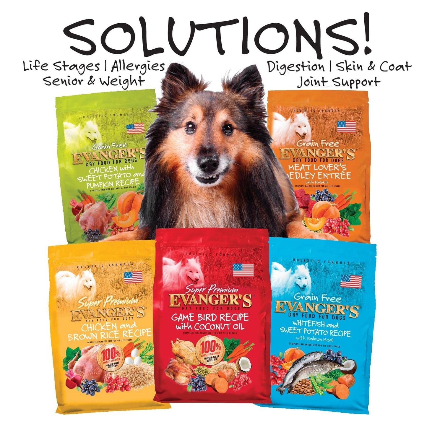 Evanger's Grain Free Whitefish and Sweet Potato Recipe with Salmon Meal Dry Food for Dogs – 4.4 lb – Chicken & Poultry Free – With Prebiotics, Coconut Oil & Omega Fatty Acids – For All Life Stages