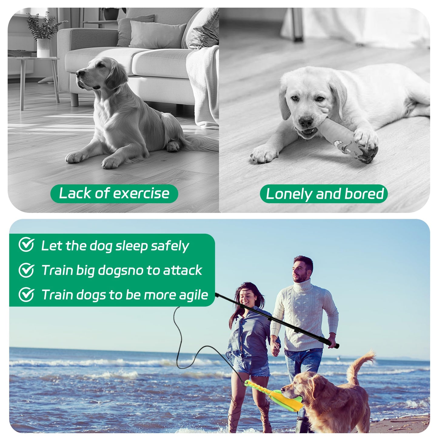 AmaCielo Flirt Pole for Dogs, Interactive Toys Tug-of-war for Dogs, Five-Section Retractable Adjustable Length,for Outdoor Exercise & Training for Small Medium Large Dogs