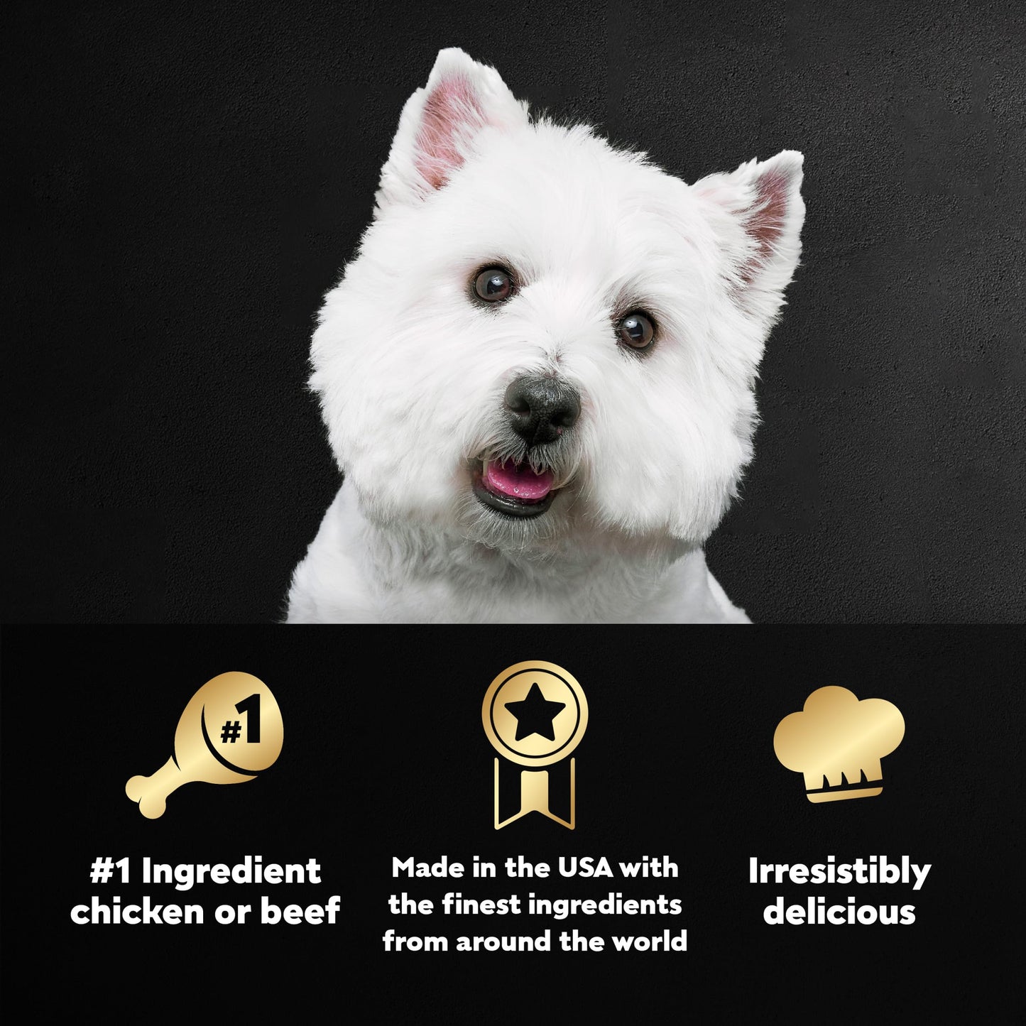 Cesar Wet Dog Food Loaf in Sauce Rotisserie Chicken Flavor with Bacon & Cheese and Filet Mignon Flavor with Bacon & Potato Variety Pack, 3.5 oz. Easy Peel Trays (12 Count, Pack of 2)