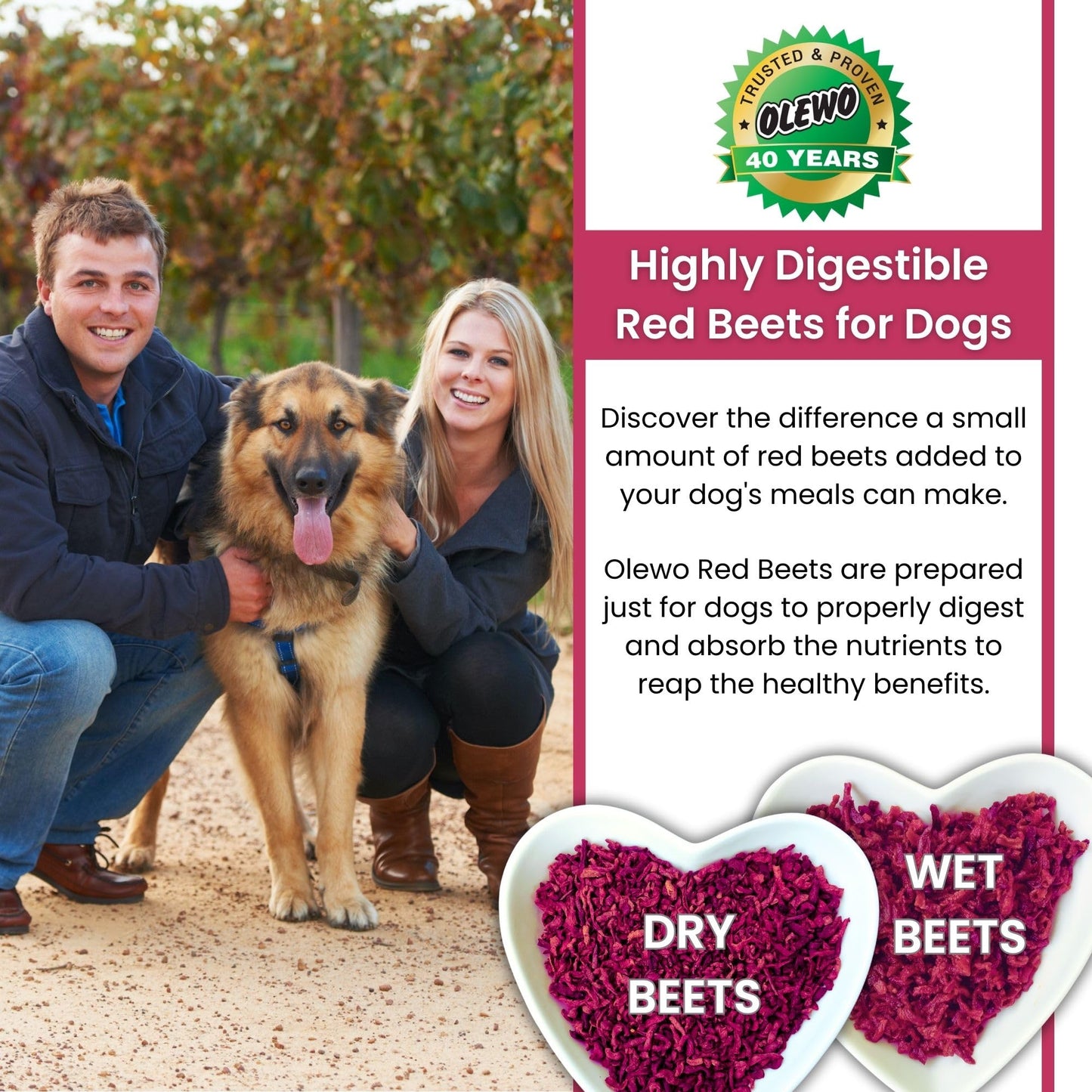 Olewo Red Beets for Dogs Granular – Natural Anti Itch Dog Food Topper, Immune, Cleansing, Skin & Coat Support, Dehydrated Whole Food Multivitamin & Fiber, 22 oz