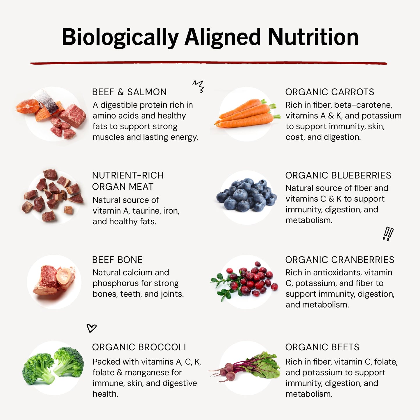 Stella & Chewy's Freeze Dried Raw Meal Mixers – Crafted for Puppies – Grain Free, Protein Rich Perfectly Puppy Beef & Salmon Recipe – 18 oz Bag