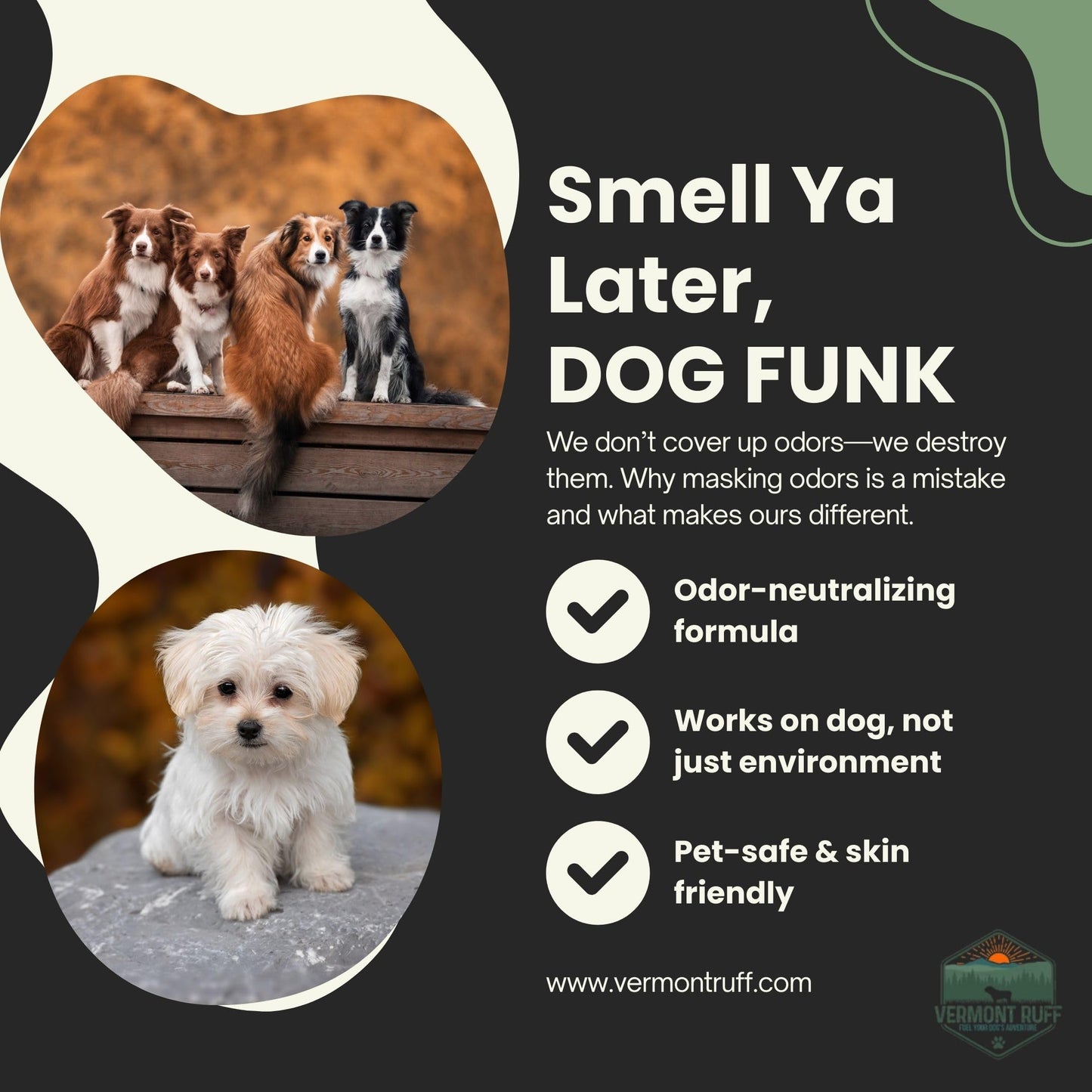 Waterless Shampoo for Cats & Dogs – Unscented, No-Rinse Formula for Ultra-Sensitive Skin – Gentle, Soothing & Moisturizing