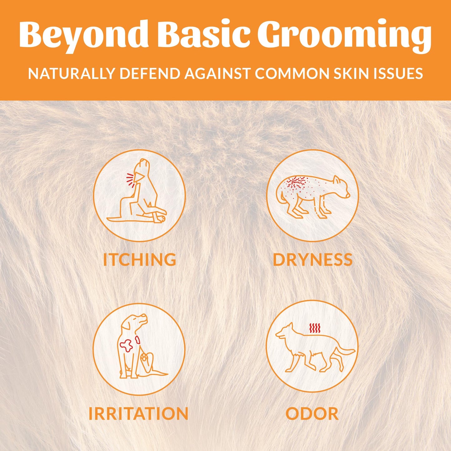 Skout's Honor Puppermint Probiotic Dog Shampoo - for Naturally Balanced and Healthier Looking Skin, Itchy Skin Relief, Healthy Coat & Skin, Avocado Oil, 16 oz