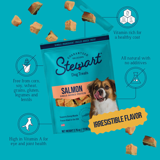 Stewart Single Ingredient Freeze Dried Raw Dog Treats, Wild Salmon, 2.75 Ounce, Approx. 55 Pieces per Resealable Pouch, Training Treats or Meal Topper, High Protein, Grain Free, Gluten Free