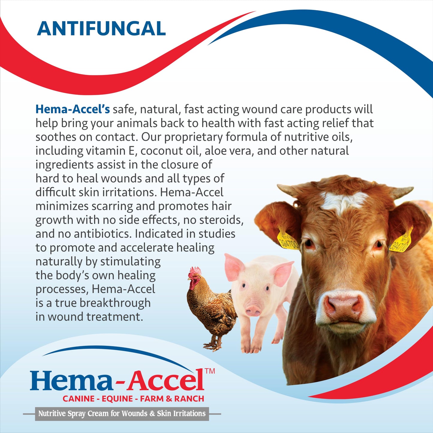 Hema-Accel Canine Wound Care Spray for Dogs, 4 oz – Natural Pet Skin Treatment for Hotspots, Cuts, Burns, Itch Relief, Itchy Skin, First Aid, Dog Wound Spray, Aloe Vera, Coconut Oil, Vitamin E