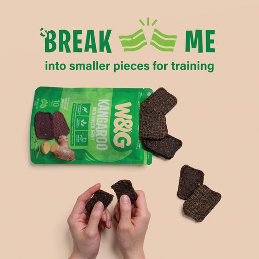 W&G Kangaroo and Ginger Soft Jerky for Dogs, Limited Ingredient Dog Treats, Hypoallergenic Alternative to Chicken Beef, Promotes Healthy Digestion, All-Natural Training Rewards, 3.5oz