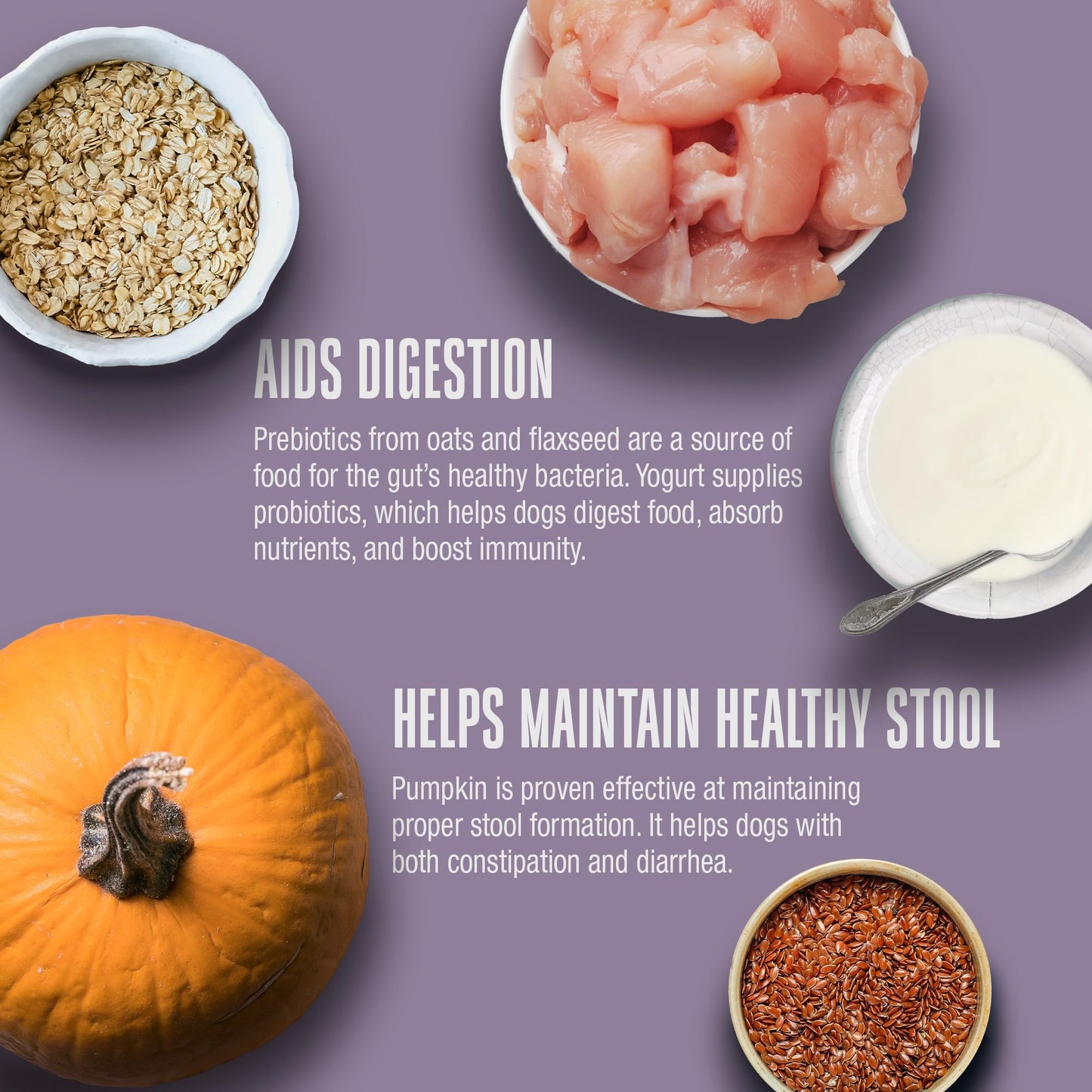 Whole Life Dog Healthy Gut Daily Dog Supplements, Human Grade Probiotics for Constipation Relief, Anti-Diarrhea, Vomit Remedy & Digestive Support, Health Supplies - 90 Servings