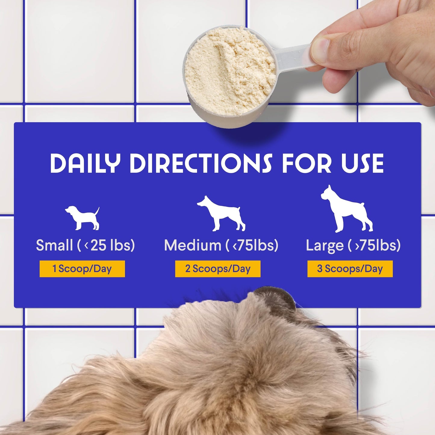 Premium Goat Milk Powder for Dogs – Supports Digestion, Immune Health & Allergies – Goat’s Milk with Probiotics for All Ages, Sizes & Breeds – 8.25 oz