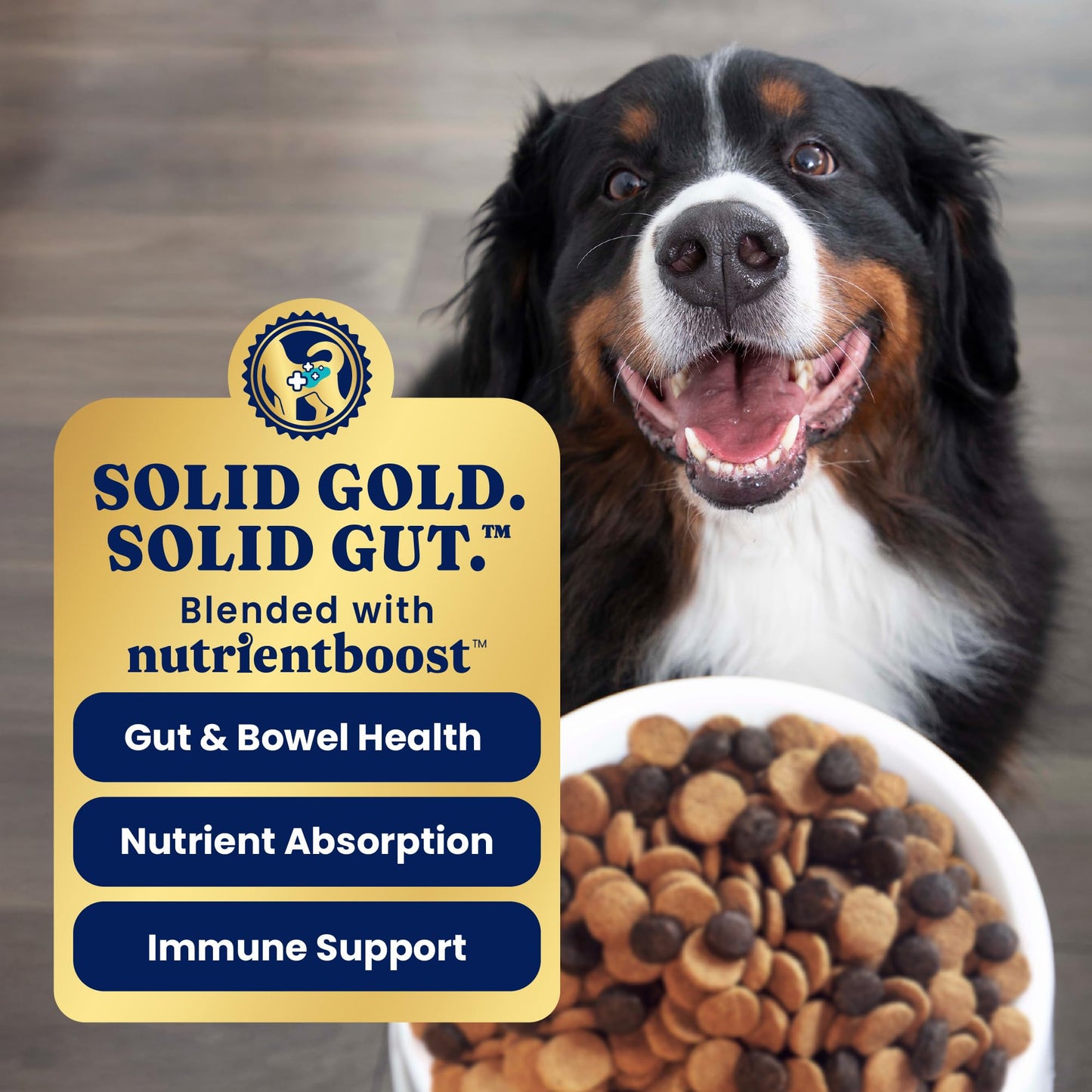 Solid Gold Dry Dog Food for Sensitive Stomachs - Grain Free & Gluten Free w/Venison, Pumpkin & Probiotics for Gut Health & Digestion - Sensitive Stomach Dog Food for All Ages - Nutrientboost –3.75LB