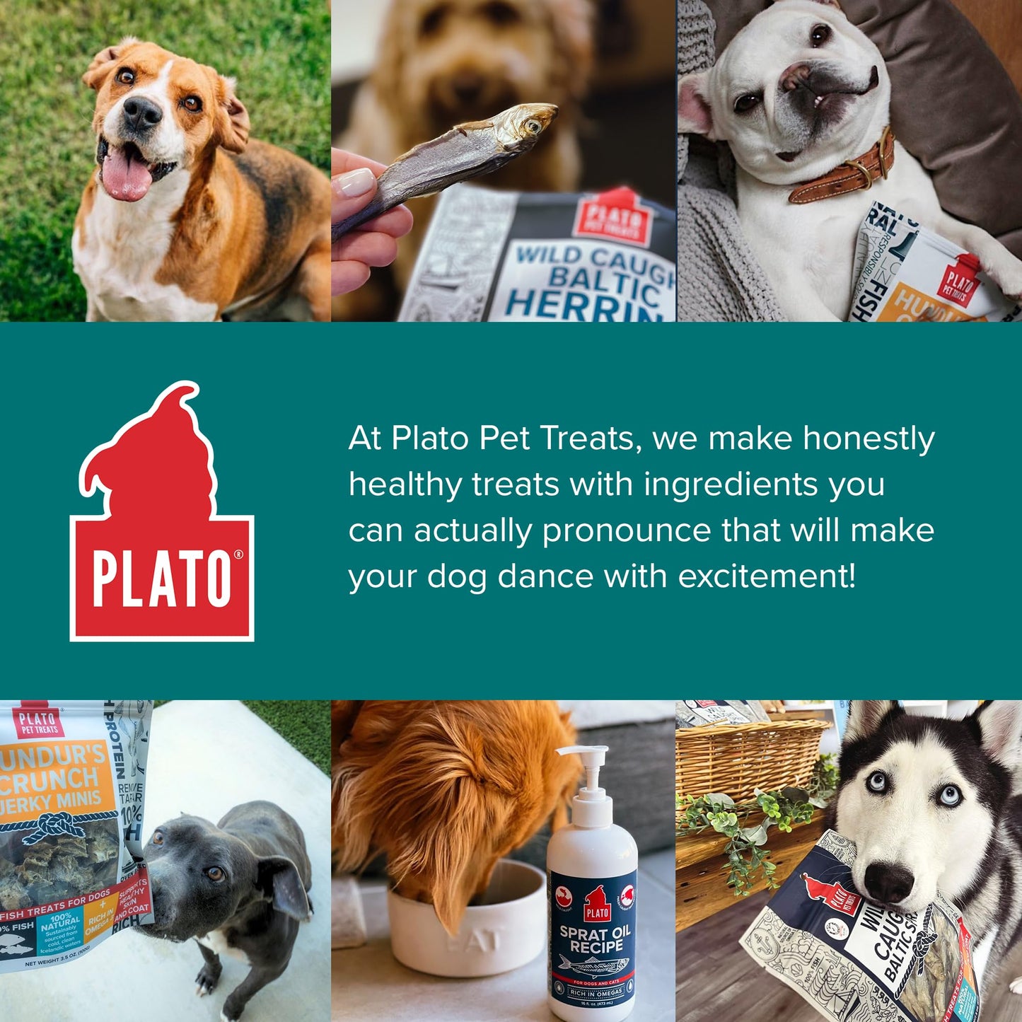 PLATO Pet Treats Fish Dog Treats - Air-Dried, Single Ingredient Dog Treat - with Omega 3 & 6 Fatty Acids to Support Skin and Coat - 100% Whole Fish - Wild Caught Baltic Herring Dog Treats - 8.5 oz