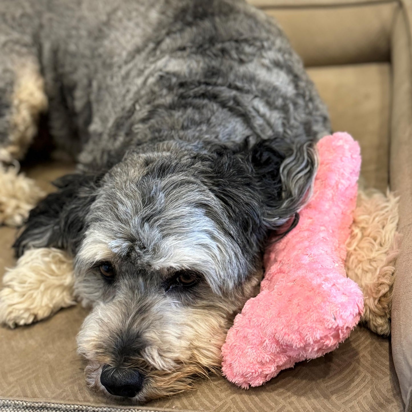 SPOT Soothers Warm Hug Bone - Calming Plush Dog Toy with Lavender Scented Beads, Removable Squeaker, Microwavable Warming Pouch, Separation Anxiety Relief, for Small to Medium Dogs and Puppies, 9in