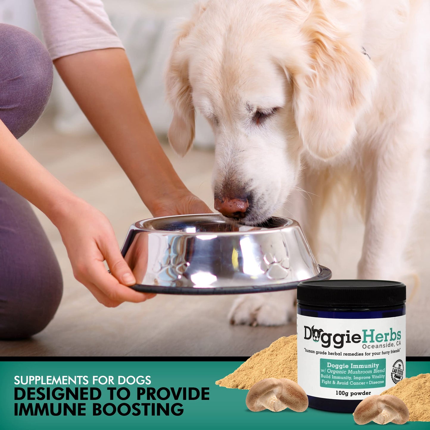 Certified Organic Immunity Mushroom Mix for Dogs, 22.3% Beta Glucan for Canine Health & Immunity Boost Dog Supplement Herbal Powder w/Scoop - 100g