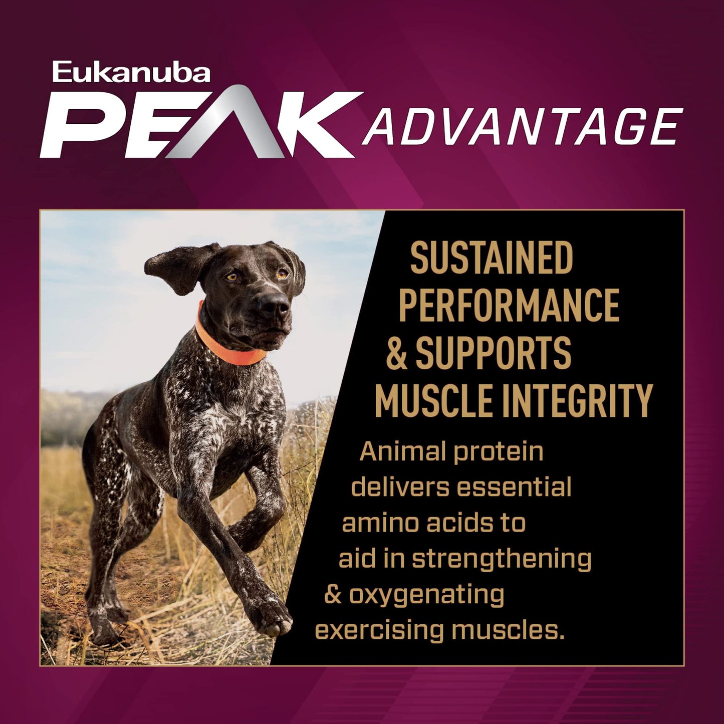 EUKANUBA Adult Premium Performance 30/20 Sport Dry Dog Food, 40 lb Bag