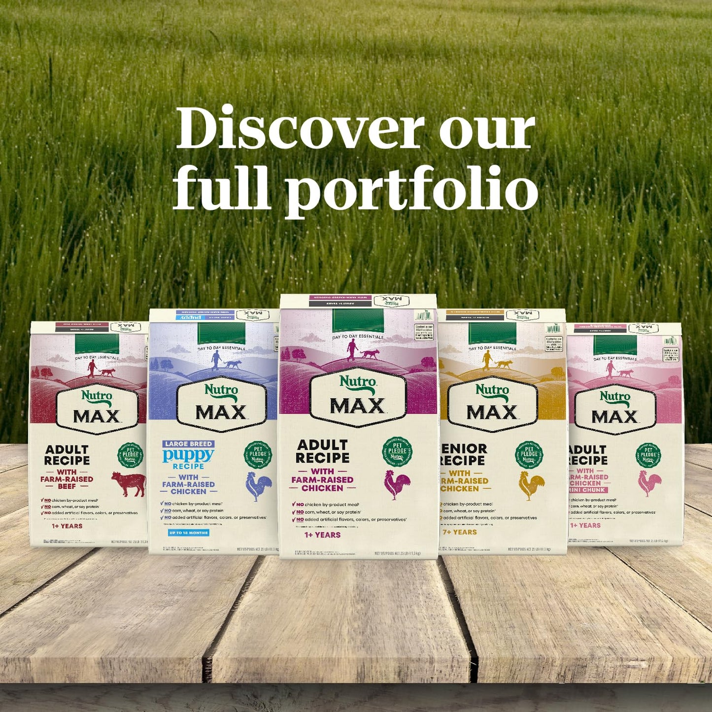 Nutro Max Adult Mini Chunk Dry Dog Food with Farm-Raised Chicken, 4 lb. Bag