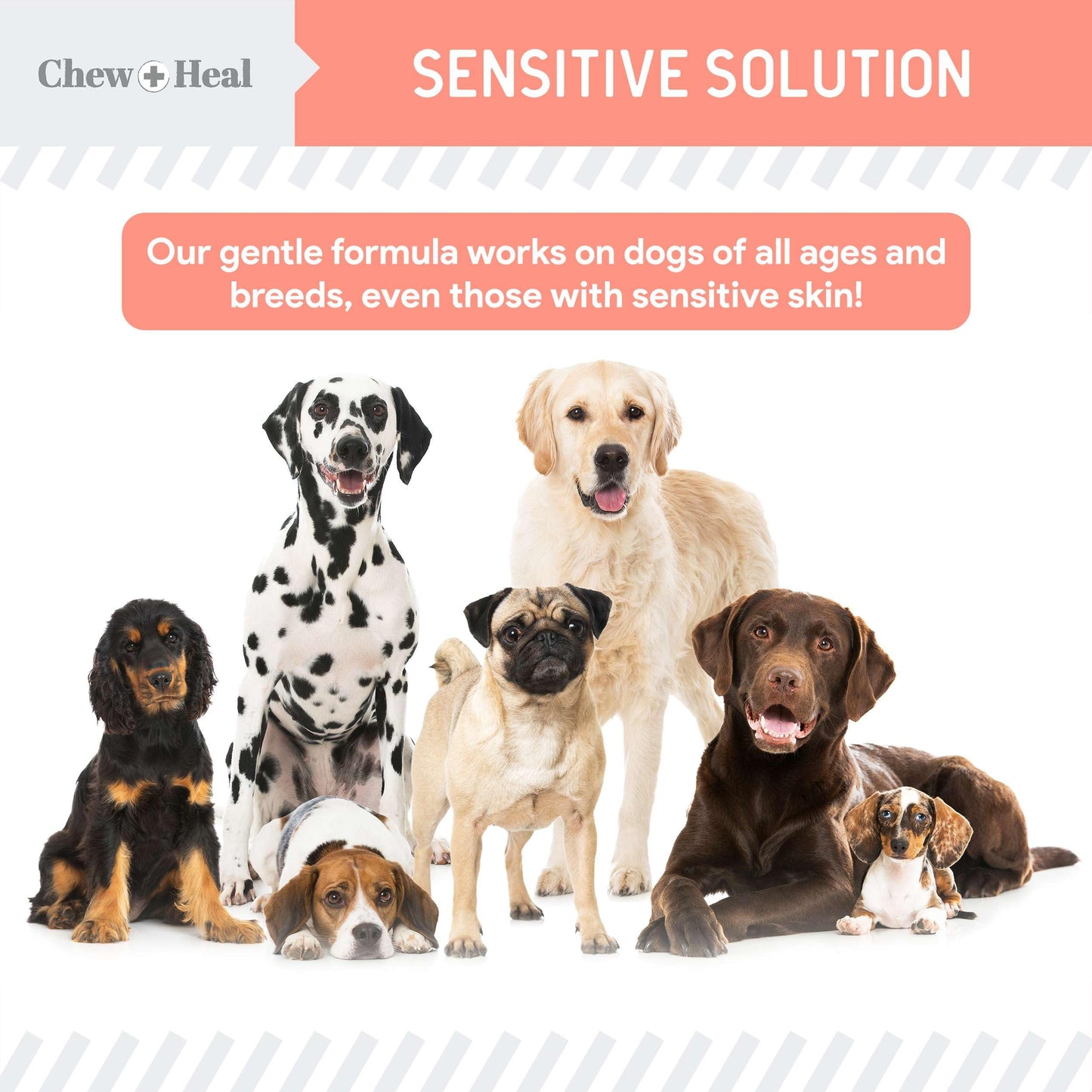 Natural Hot Spot Treatment for Dogs - 2 oz Soothing Oil for Hotspots and Itchy Skin with Natural Ingredients - Chlorhexidine Free - Good for Sensitive Skin - Made in The USA