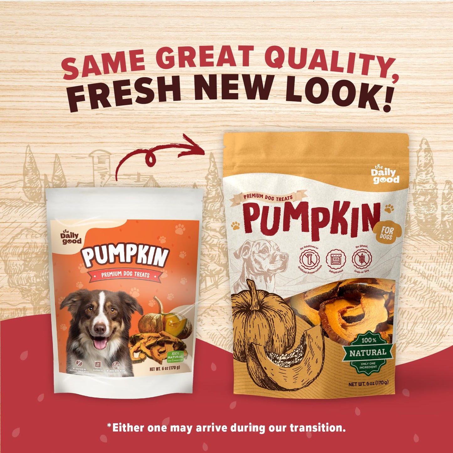 THE DAILY GOOD Pumpkin Chips for Dogs – 100% Natural Single Ingredient Dog Treats – Crunchy & Crispy – Easy to Digest, Hypoallergenic, Grain-Free – Healthy Snack for All Breeds – 6 oz
