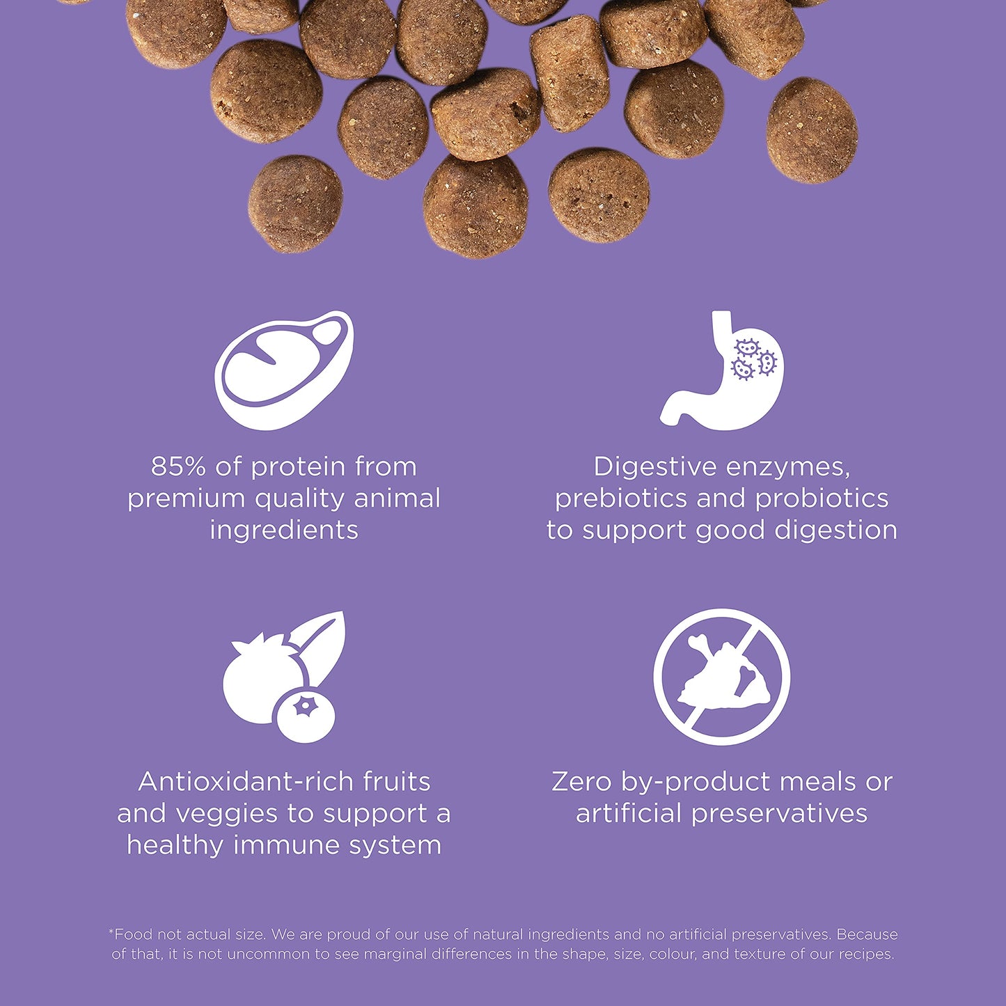 Go! Solutions Carnivore, Grain-Free, Protein Rich Dry Dog Food, Chicken, Turkey and Duck Senior Recipe, 22 lb Bag