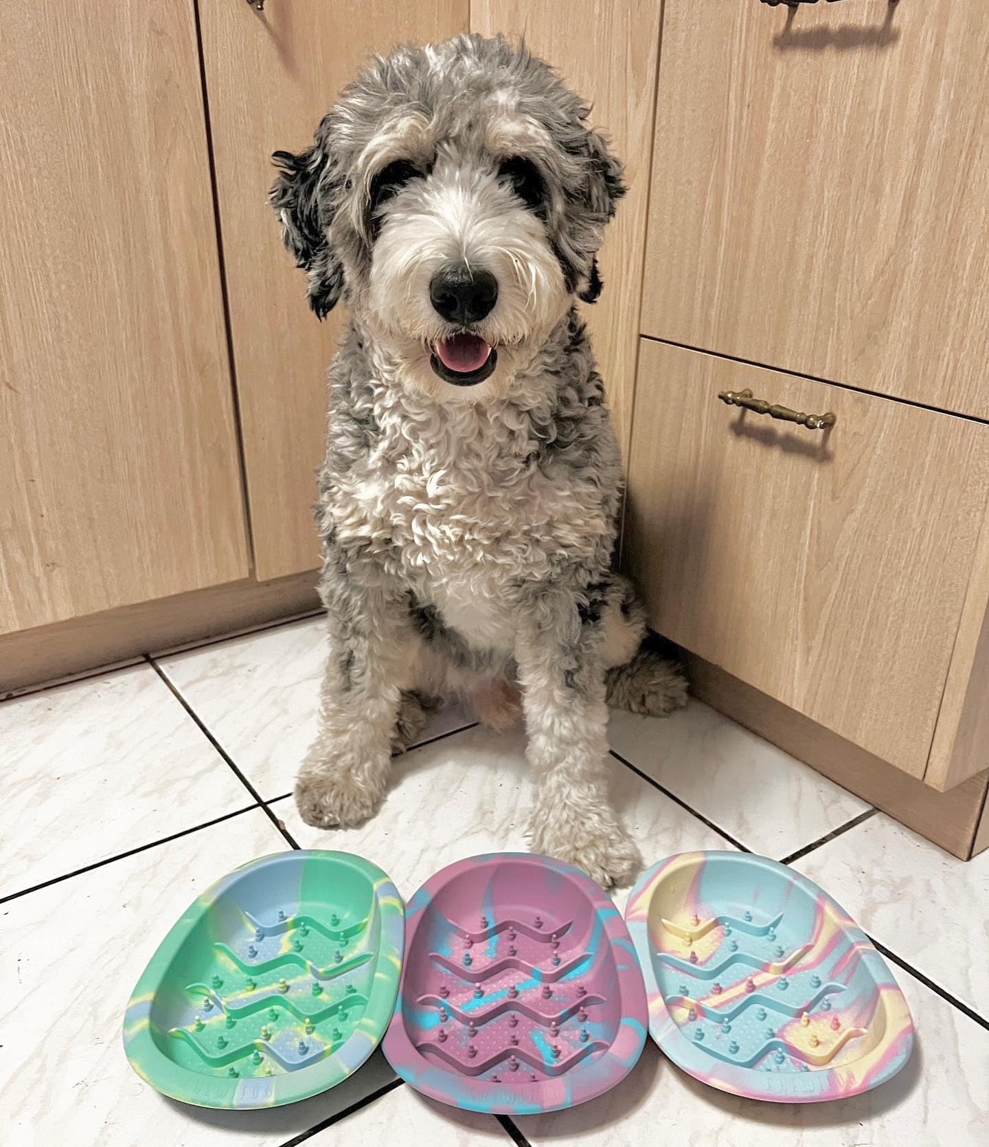 CHEWFFON Interactive Dog&Cat Lick Mat Bowls, BPA-Free Silicone Dog Slow Feeder Bowl with Suction Cups, Non Slip Food Bowl for Dogs and Cats, Reduces Boredom and Anxiety, Dishwasher Safe, Blueberry