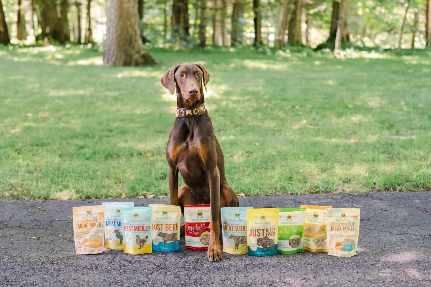 Remy’s Kitchen Just Beef Freeze Dried Dog Treats USA Sourced and Small Batch Made - Human-Grade, All Natural Single Ingredient Dog Treat Without Artificial Preservatives, Grain Free - 3 oz