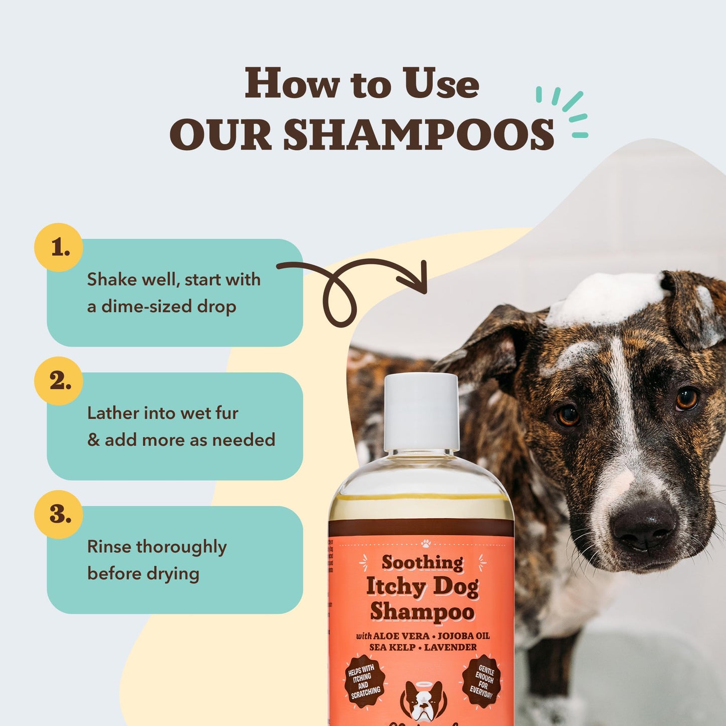 Natural Dog Company Itchy Dog Shampoo 12 oz – Hypoallergenic & Fragrance Free – Aloe Vera, Jojoba & Sea Kelp – Sulfate & Paraben Free – Soothes Dry, Itchy, Irritated Skin – Safe for All Breeds