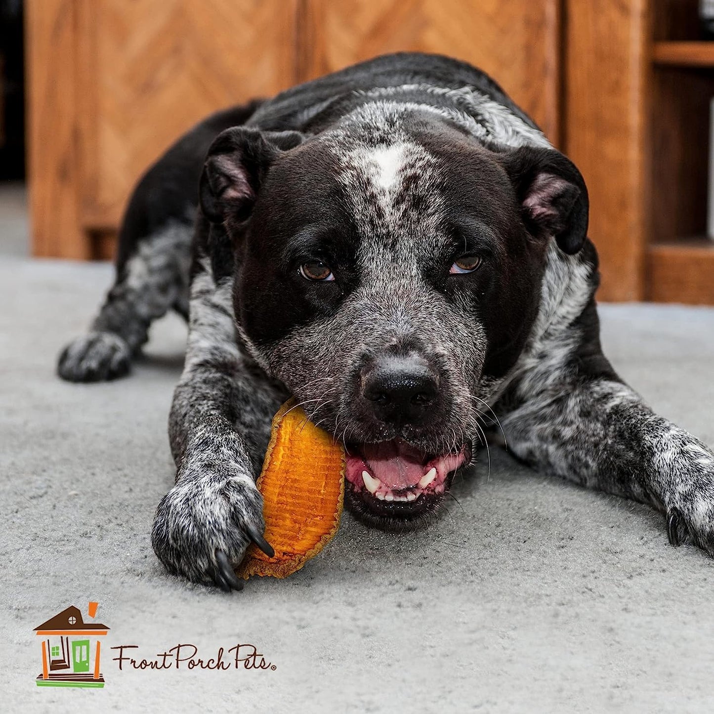 Sams Yams Sweet Potato Dog Treats, Healthy Dog Treats for Large Dogs - Sweet Potato Dog Treats Made in USA, High Fiber, Vegan Dental Chews - Big Boyz, Sweet Potato Dog Chewz, 15oz (Pack of 3)