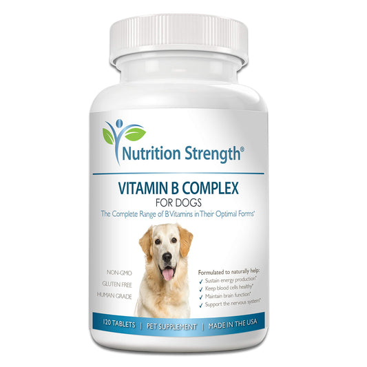 Nutrition Strength Vitamin B for Dogs, Complete B Complex for Dogs, Promote Blood Cell & Nervous System Health, Help Sustain Cellular Energy Production & Maintain Brain Function, 120 Chewable Tablets