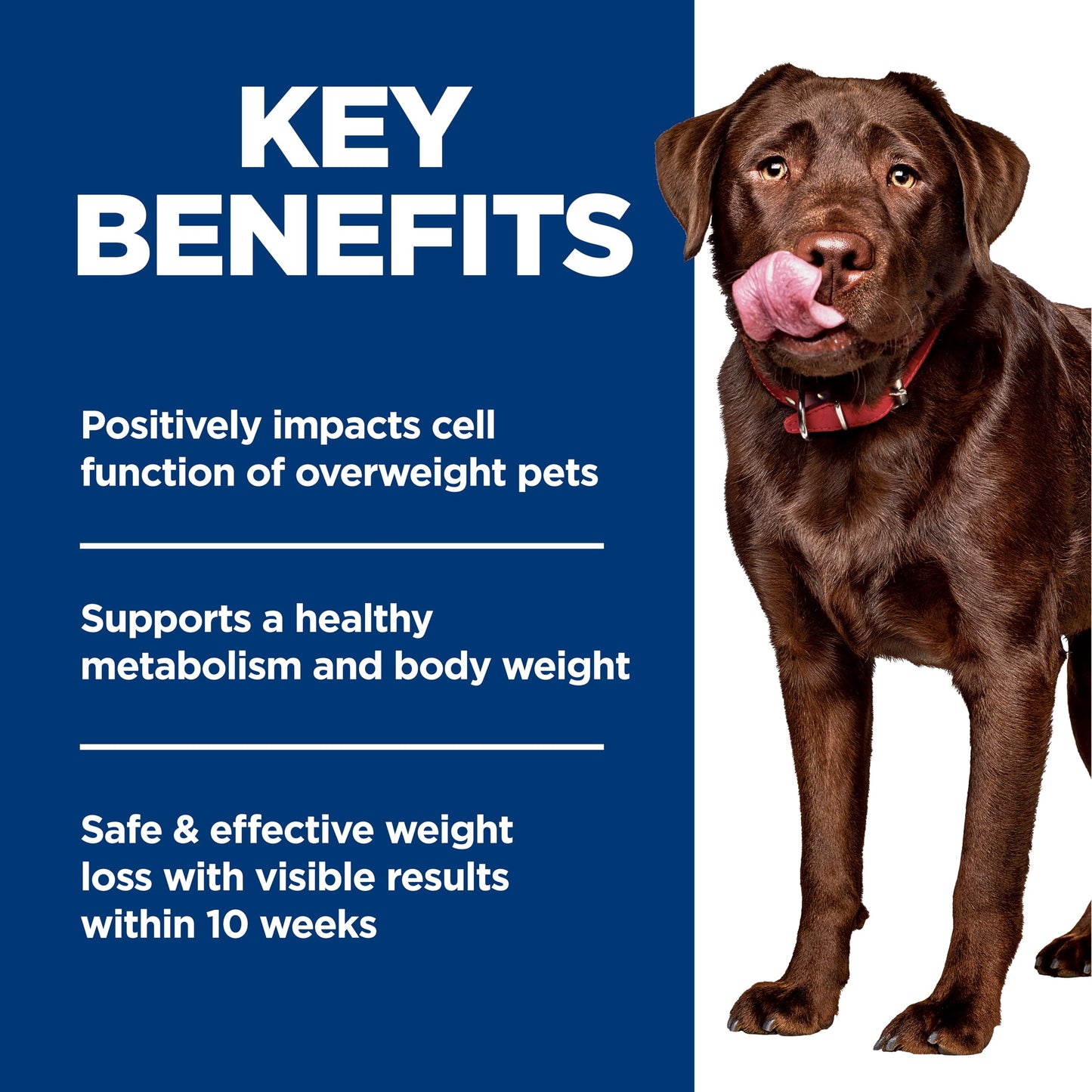 Hill's Science Diet Perfect Weight Large Breed Adult Dry Dog Food 1-5, Quality Protein for Weight Management Support, Chicken Recipe, 25 lb. Bag